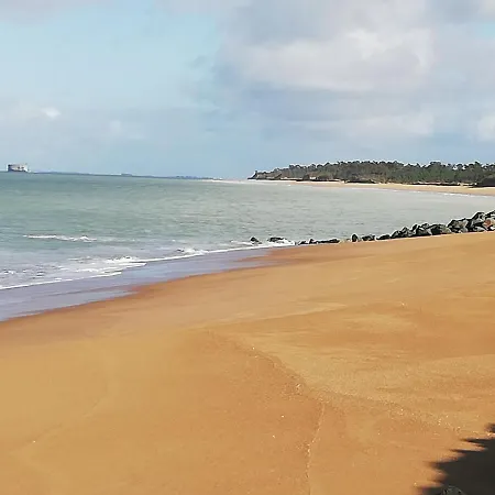 Fleur Des Pins - & D'hotes B&B 생-조르주-돌레롱