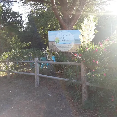 Fleur Des Pins - & D'hotes B&B 4*