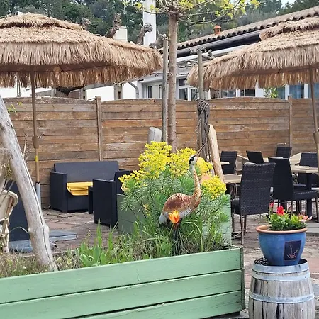 Fleur Des Pins - & D'hotes Saint-Georges-d'Oleron