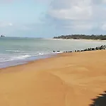 Residence Fleur Des Pins - Gites & Chambres D'Hotes Bed & Breakfast Saint-Georges-d'Oleron