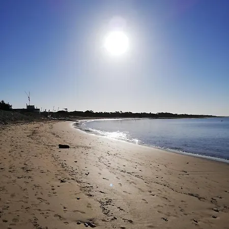 ベッド・アンド・ブレックファスト Fleur Des Pins - & D'hotes 4*