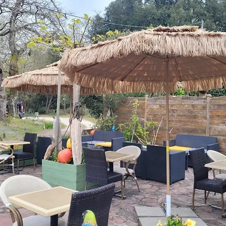 Residence Fleur Des Pins - Gites & Chambres D'Hotes Saint-Georges-d'Oleron