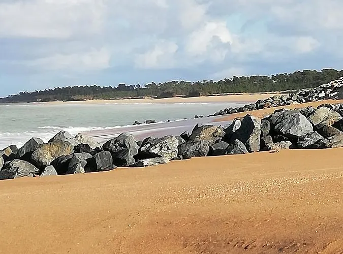 Residence Fleur Des Pins - Gites & Chambres D'Hotes 4*